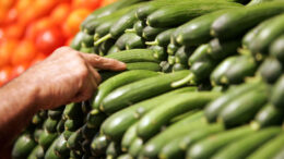 Emprendedores Sociales impulsan nuevos modelos de negocio en alimentos