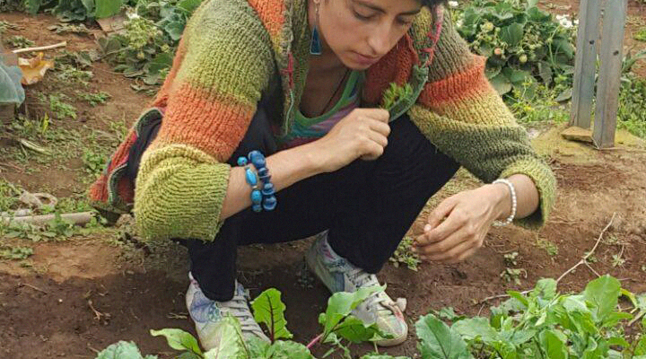 experiencia Ana Maestría en agroecología, egresada de la maestría