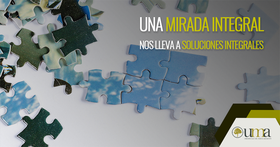 Desarrolla una mirada integral aprendiendo y aplicando la teoría integral