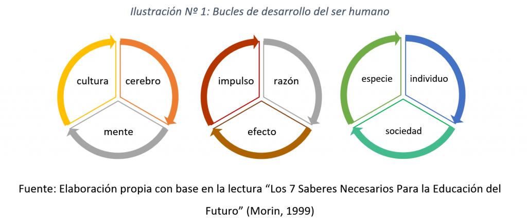 Bucles de desarrollo del ser humano