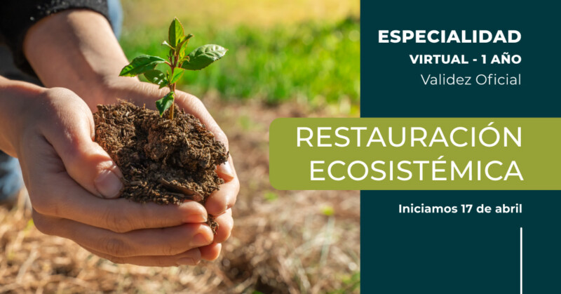 Restauración Ecosistémica diseño nuevo