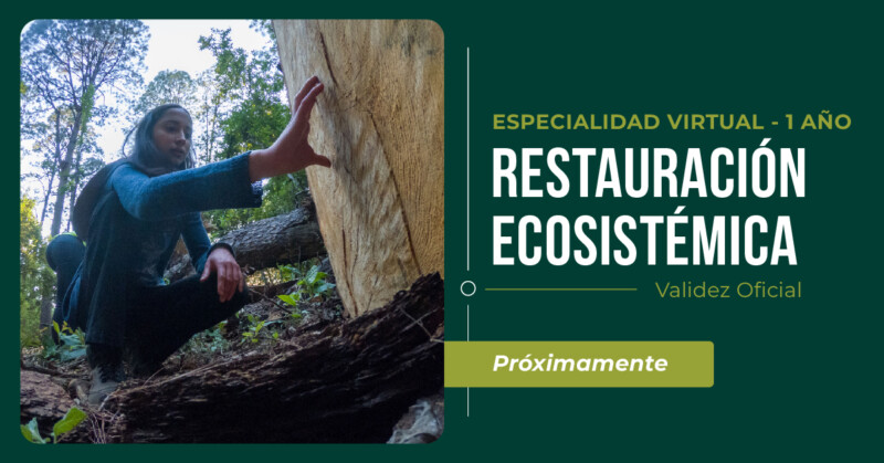 Restauración Ecosistémica