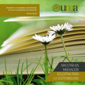 Innovación educativa, Freire