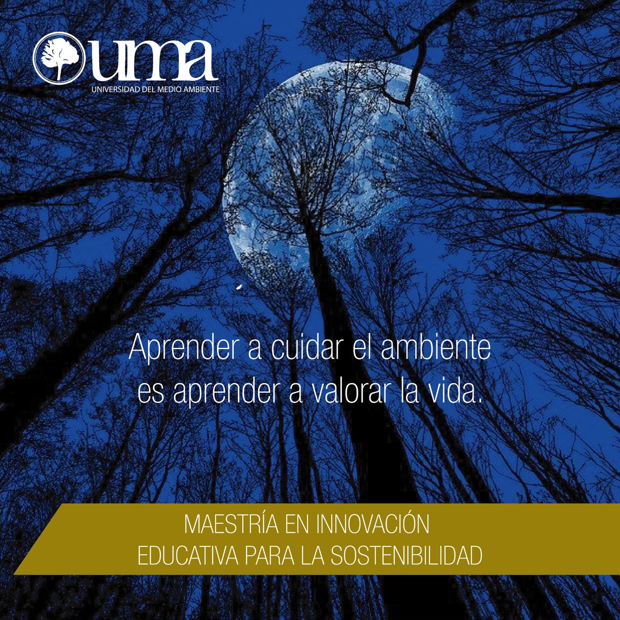 Aprender a valorar la vida