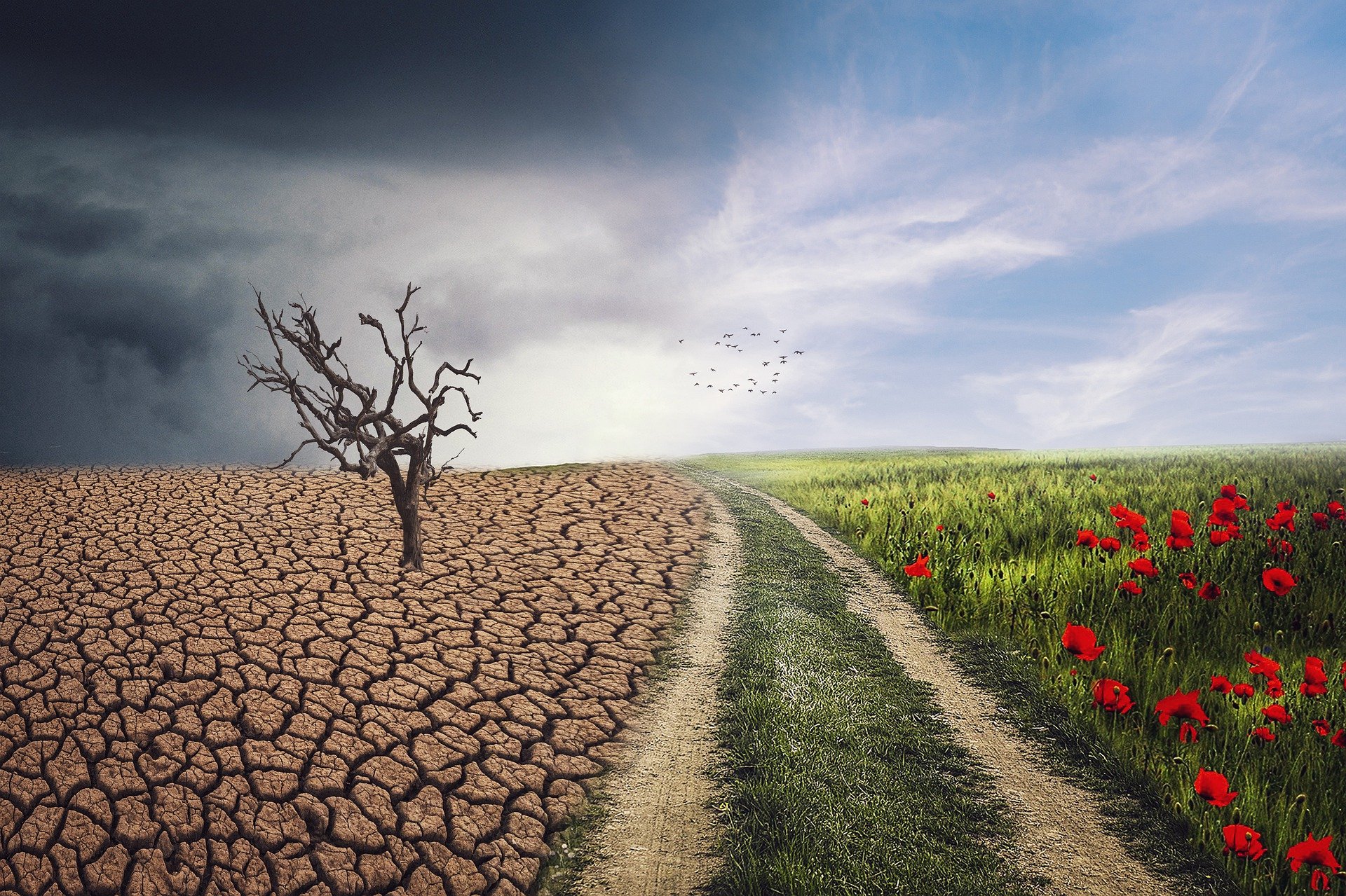 Conflicto socioambiental