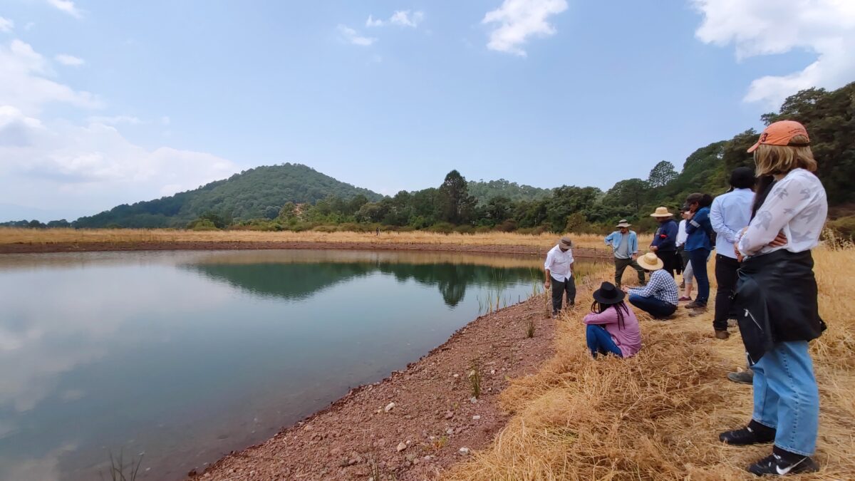 El agua es clave para la vida