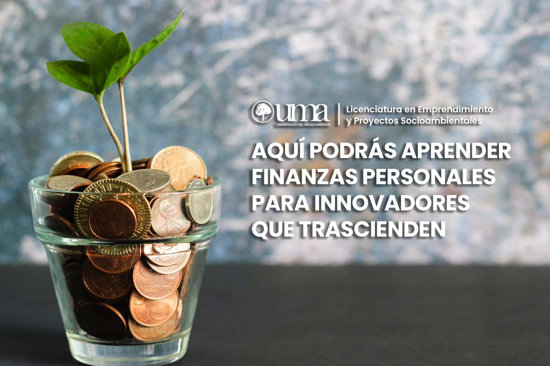 innovadores que trascienden