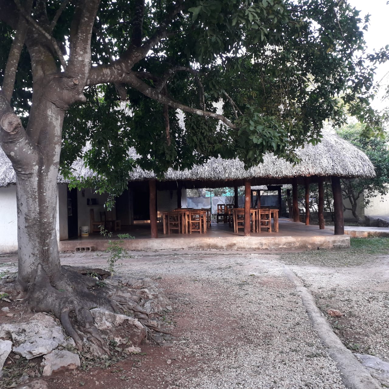 UNIVERSIDAD DEL MEDIO AMBIENTE