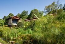 El Humedal. Reservorio de biodiversidad en Valle de Bravo