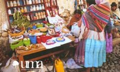 Medicina natural en América Latina