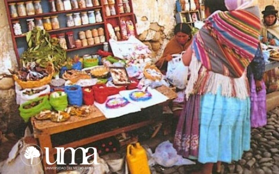 Mercado de herbolaria