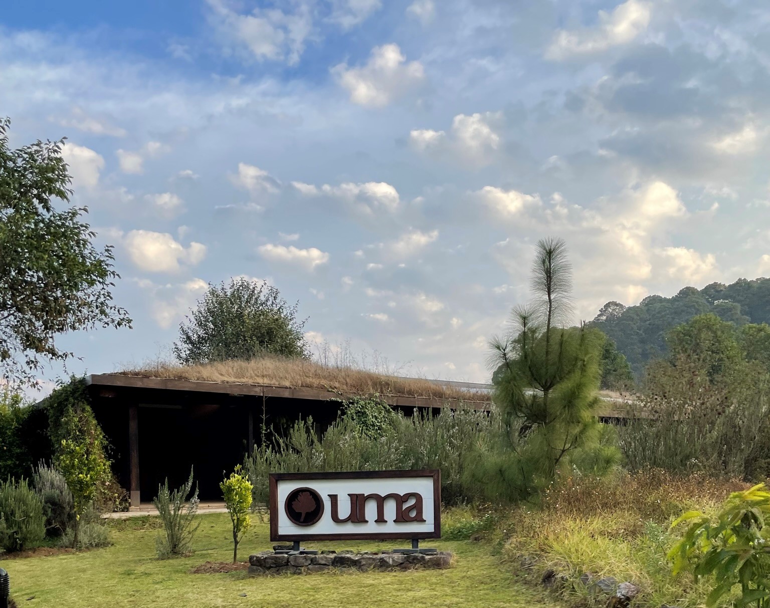 Entrada de la UMA