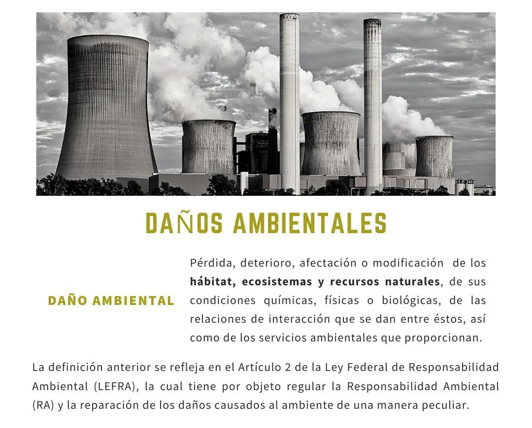 Daño ambiental, LFRA