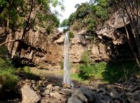 Proyecto de regeneración del agua y del lugar: Parque ecoturístico El Salto