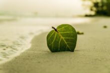 Proyectos y agua: actualización de normatividad