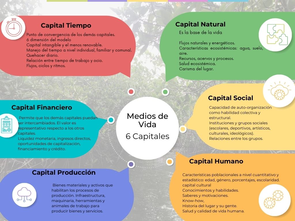 Medios de vida