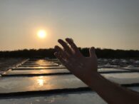 Medios de Vida – una metodología para conocer un lugar