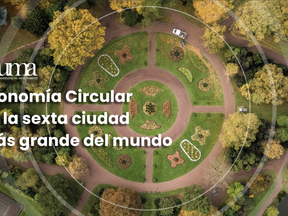 Economía Circular