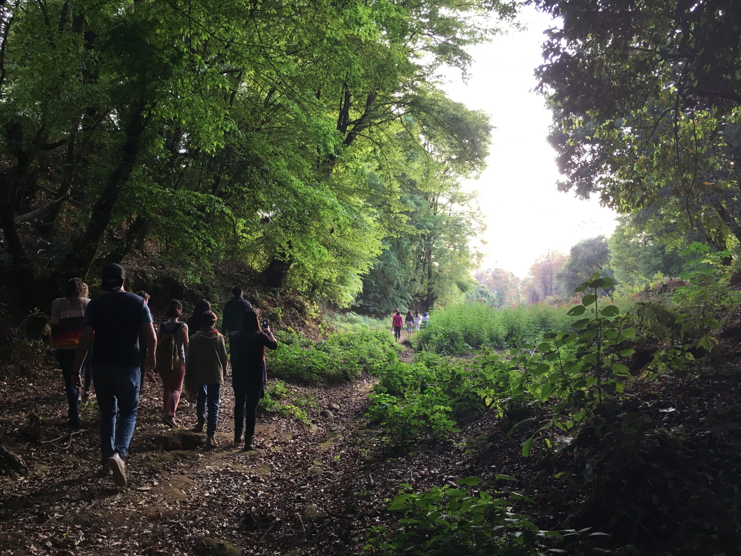 Aventura en la escuela del bosque