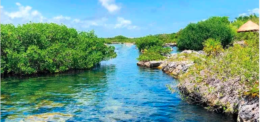 Guía MARTI para inversionistas en Quintana Roo