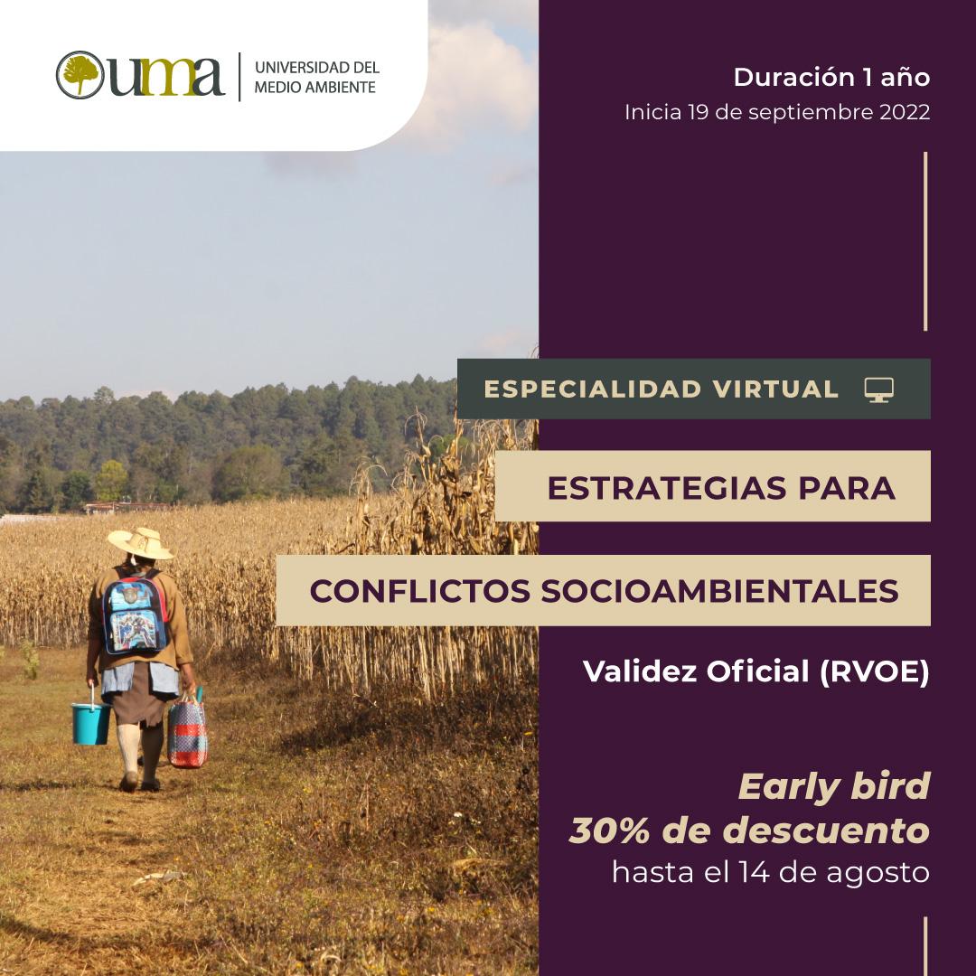 Especialidad virtual