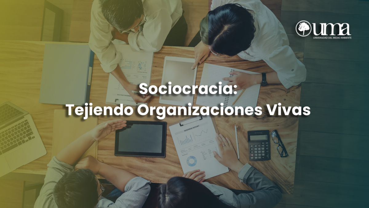 Sociocracia Blog