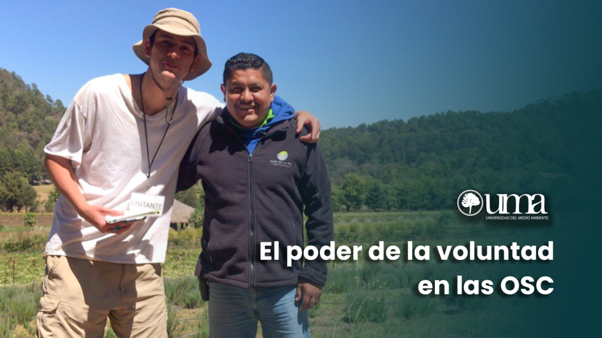 Voluntad