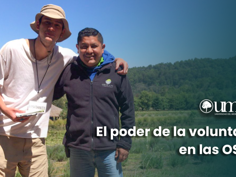 Voluntad