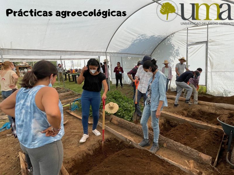 prácticas
