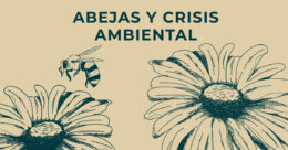 Abejas y crisis ambiental