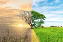 Impacto Ambiental y su conflicto social
