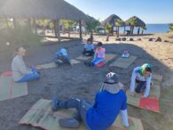 Artilugios Pedagógicos: Aulas Naturales y su importancia para el desarrollo del Andamiaje Educativo