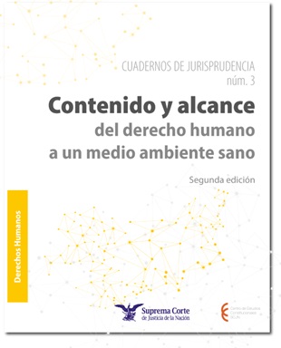 Jurisprudencia accesible