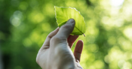 Economía y Sustentabilidad