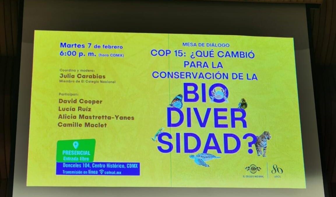 Créditos de imagen, Rosalba López González