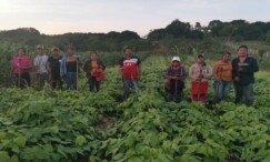 Agroecología emancipadora