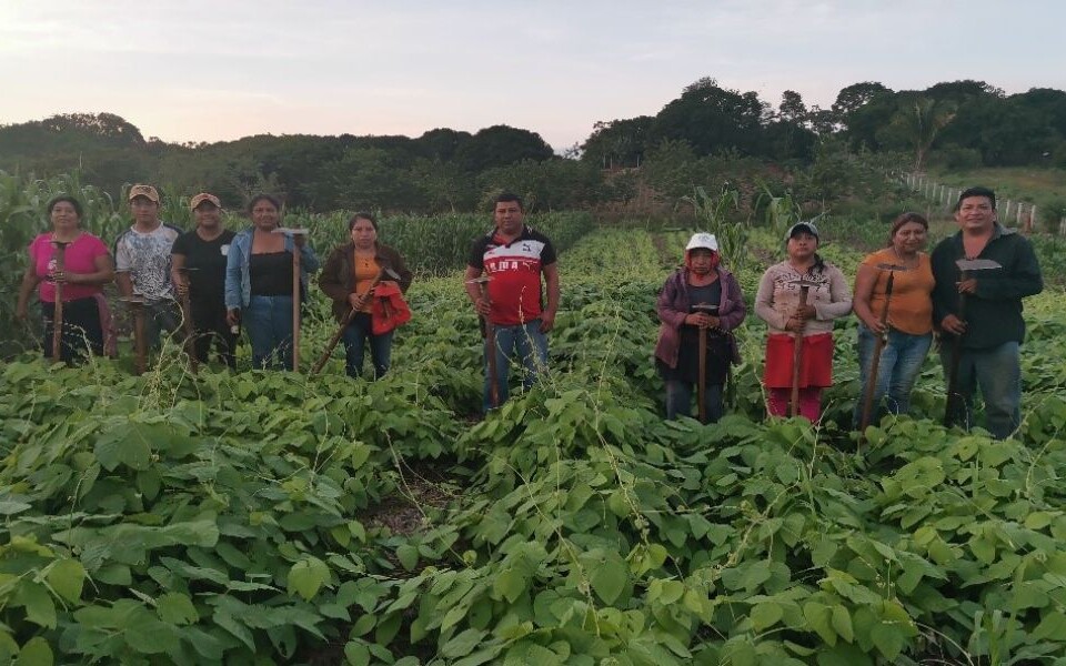 campesino, rural, comunidades