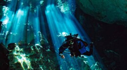 Revelaciones de los cenotes