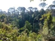 Acatitlán ¿Un Pueblo Sostenible?
