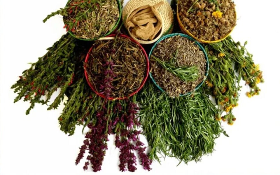 El uso de plantas medicinales es una tradición cultural de muchos pueblos alrededor del mundo.