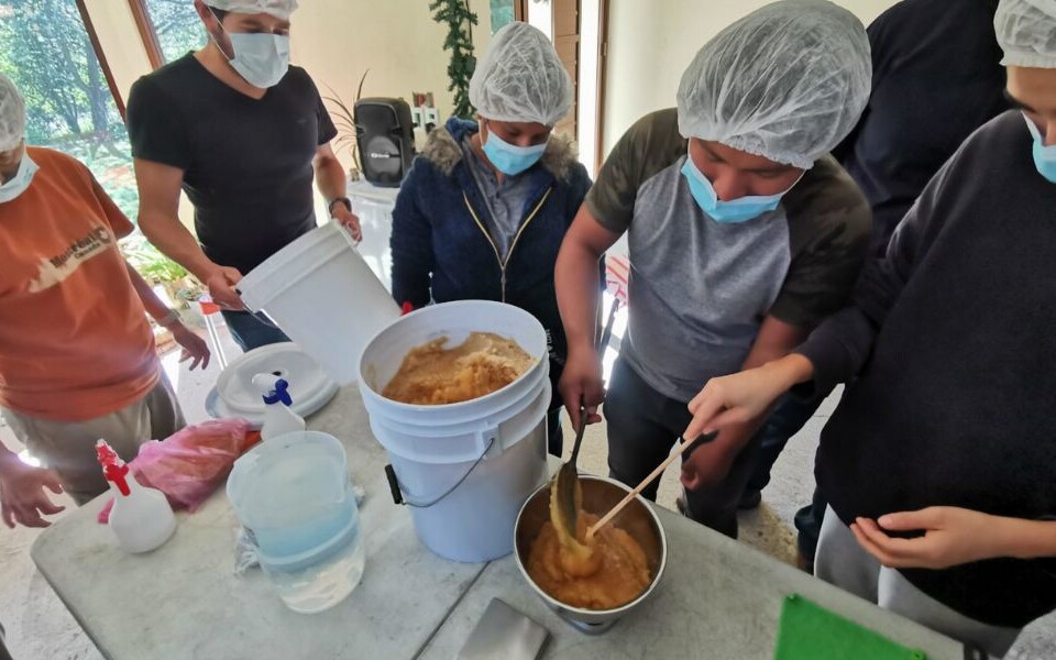 Cosecha de miel de abejas meliponas. Fuente: Foto tomada del último taller en la UMA en septiembre, 2023.