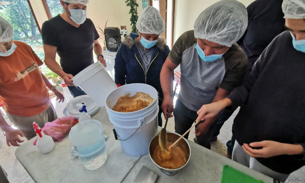 Cosecha de miel de abejas meliponas. Fuente: Foto tomada del último taller en la UMA en septiembre, 2023.
