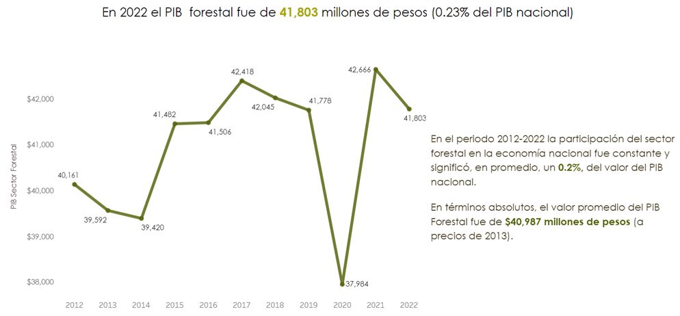 PIB FORESTAL 