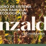 Imagen de la parcela