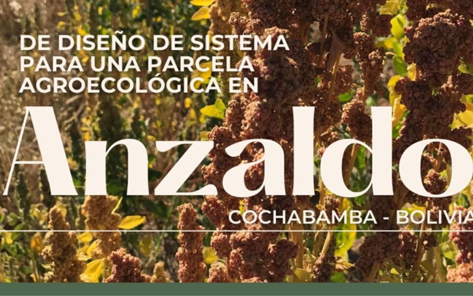 Imagen de la parcela