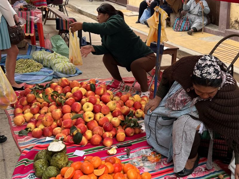 Frutas diversas en feria de productores