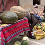 Diversidad de alimentos en feria agroecológica