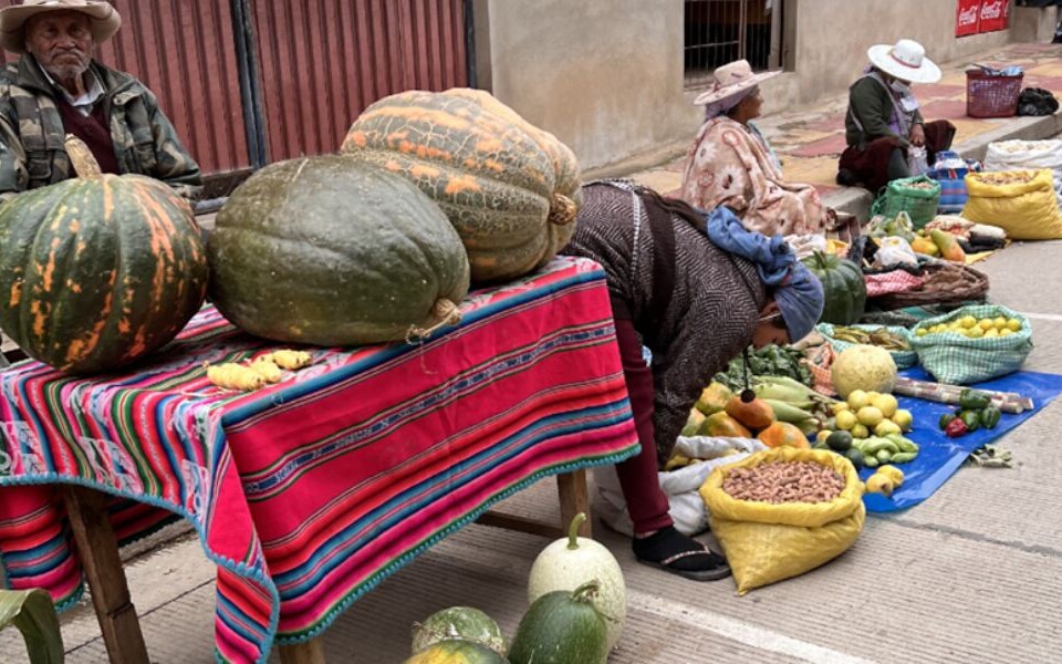 Diversidad de alimentos en feria agroecológica