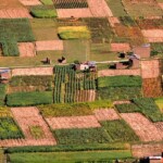Agricultura antigua en Bolivia