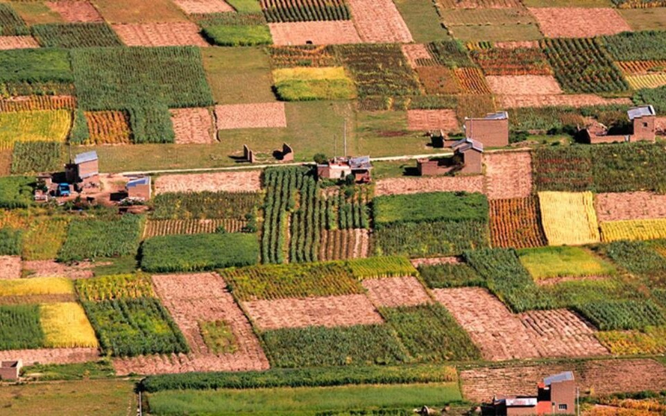 Agricultura antigua en Bolivia